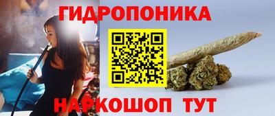 эйфоретик Заводоуковск