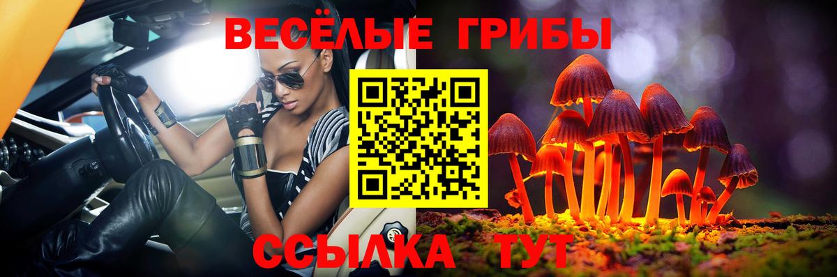 Псилоцибиновые грибы Psilocybine cubensis Кызыл